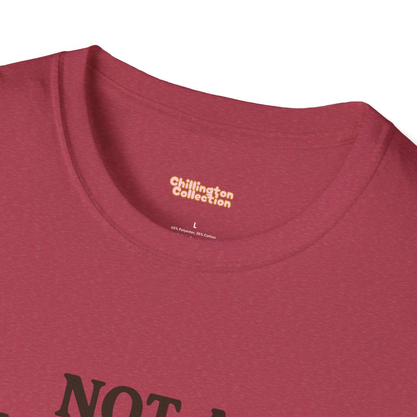 Not a Morning Person Unisex T-Shirt