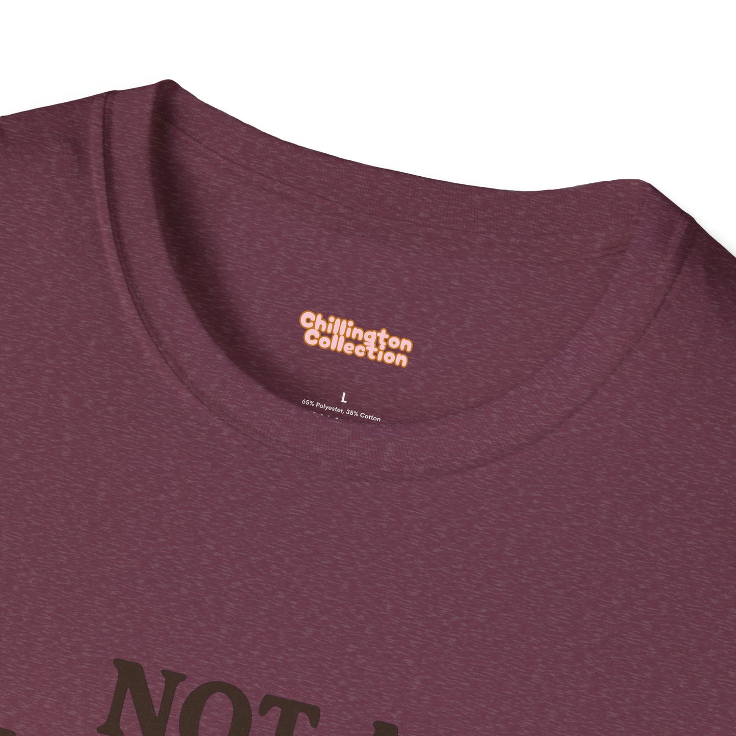 Not a Morning Person Unisex T-Shirt