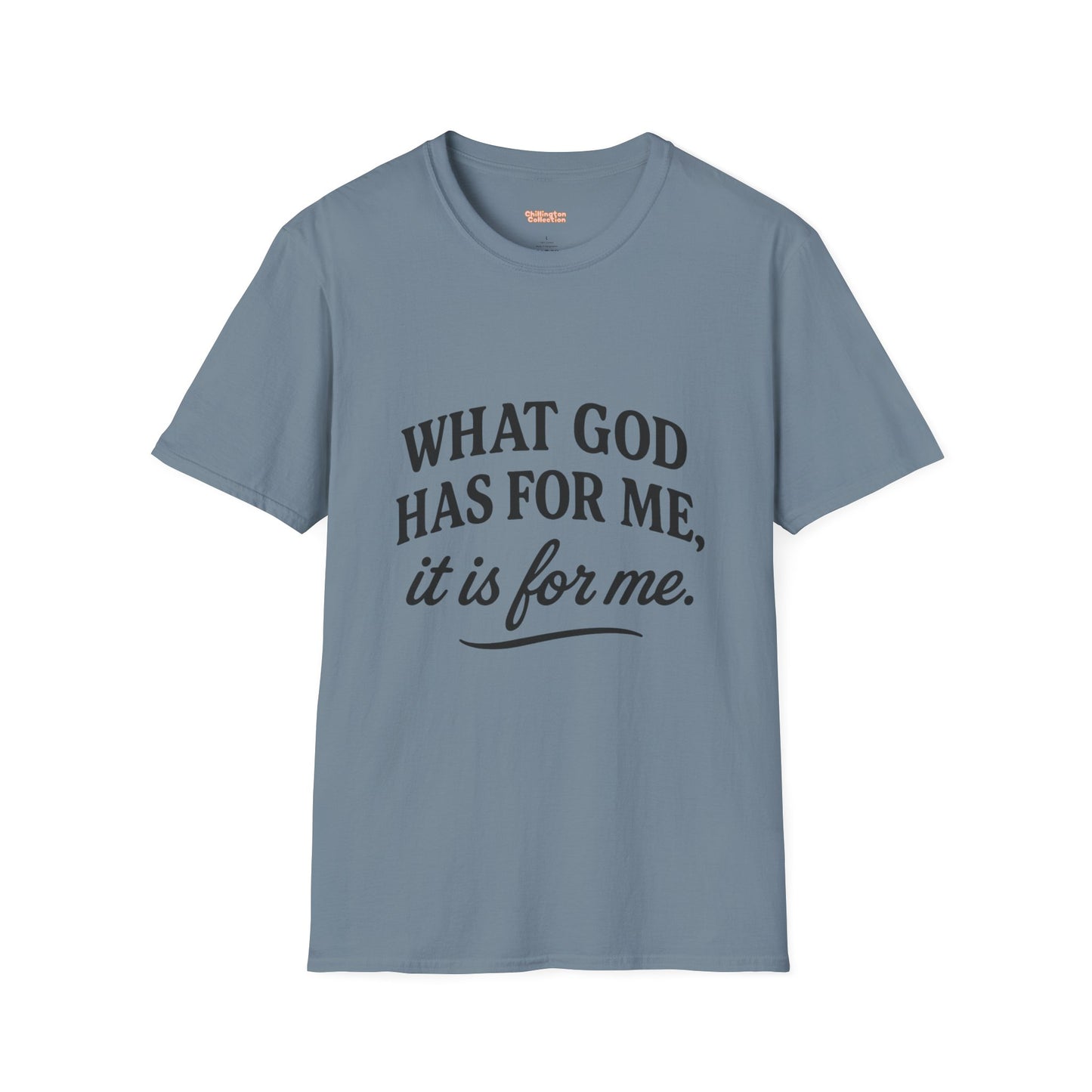 What God Has For Me Unisex T-Shirt