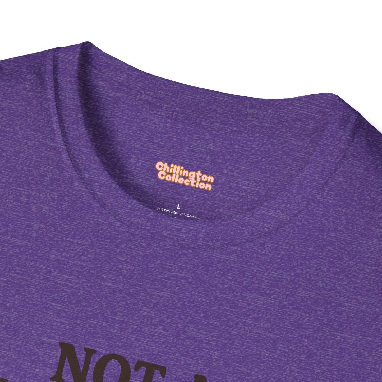 Not a Morning Person Unisex T-Shirt