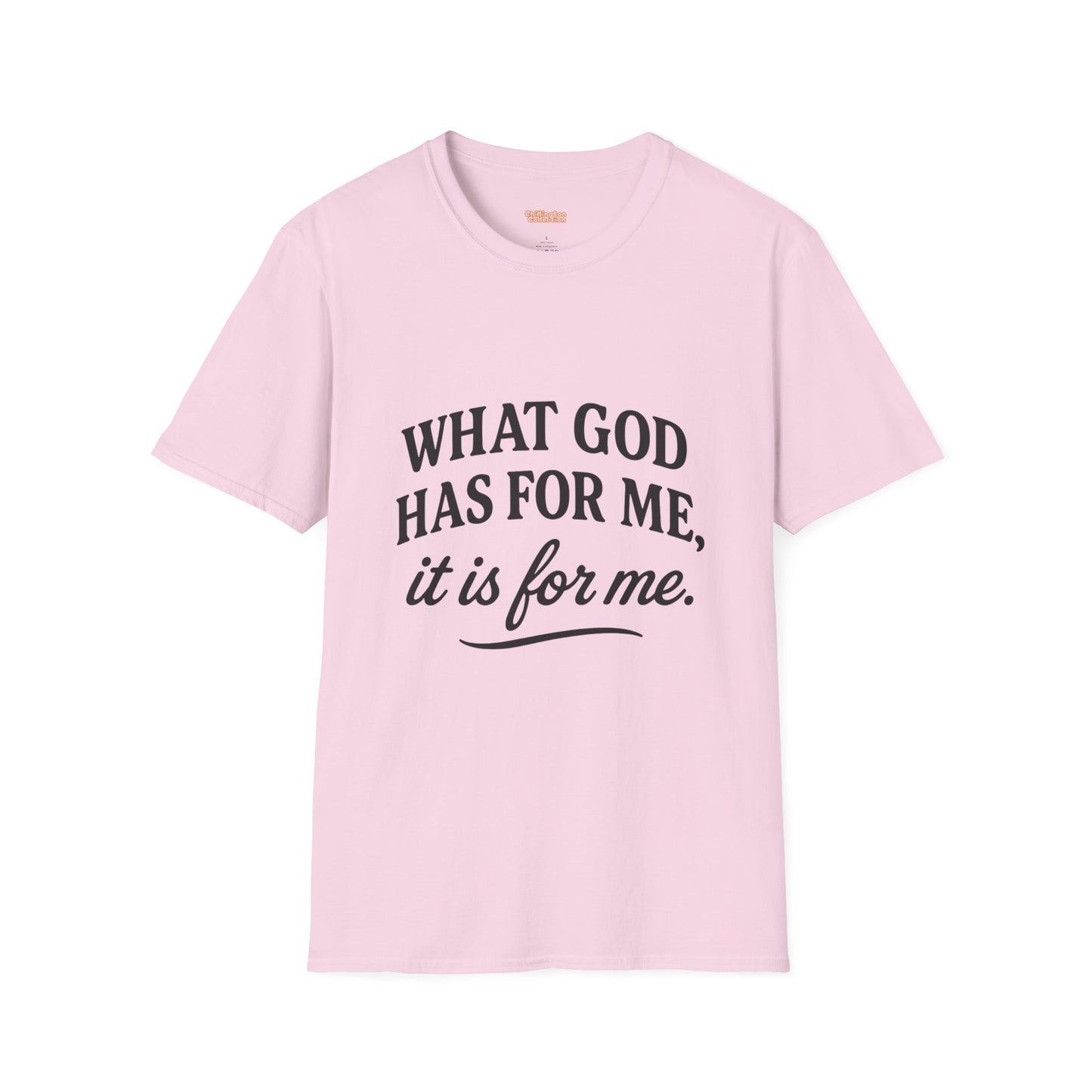 What God Has For Me Unisex T-Shirt