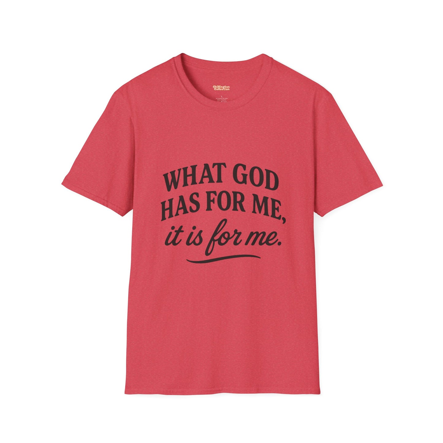 What God Has For Me Unisex T-Shirt