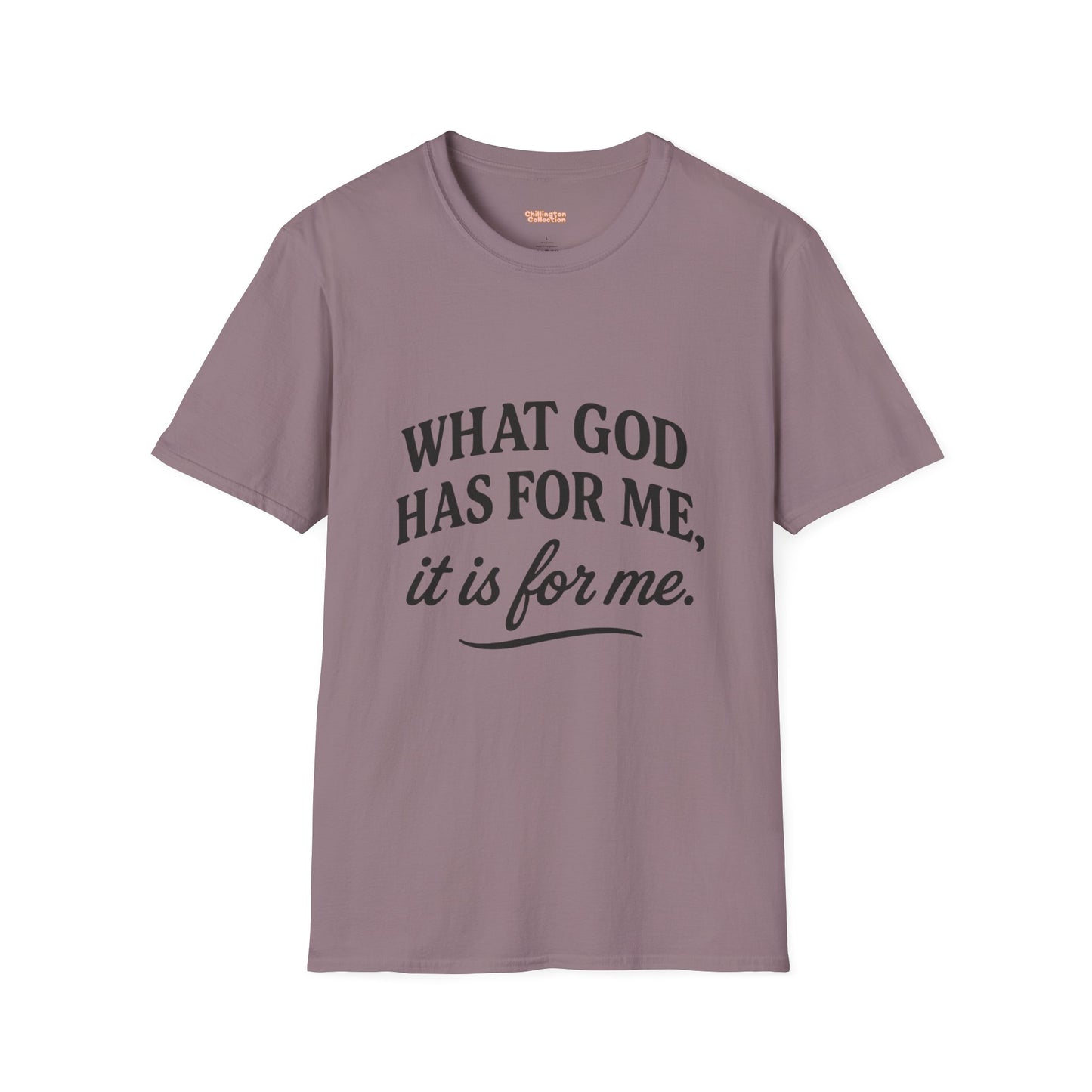 What God Has For Me Unisex T-Shirt