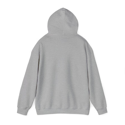 Hoodies Favorite Hoodie Unisex Hoodie