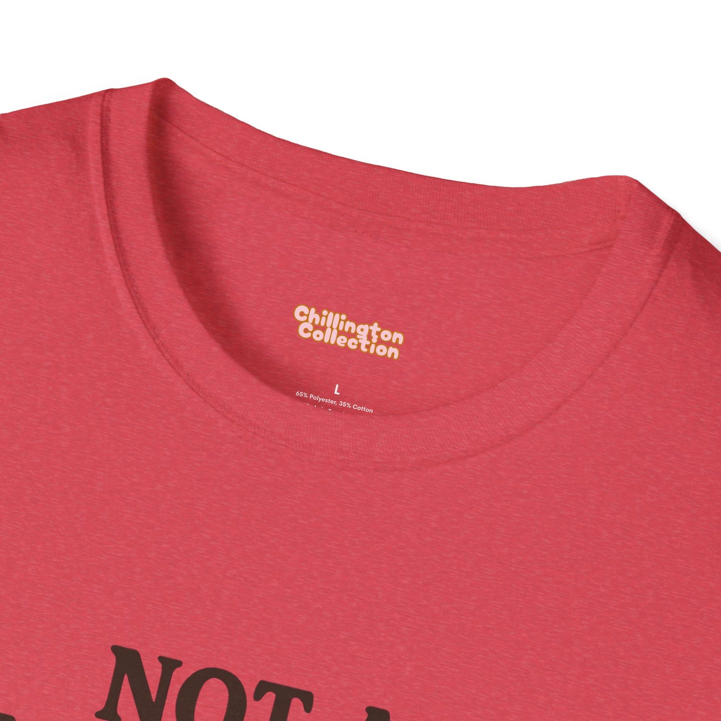 Not a Morning Person Unisex T-Shirt