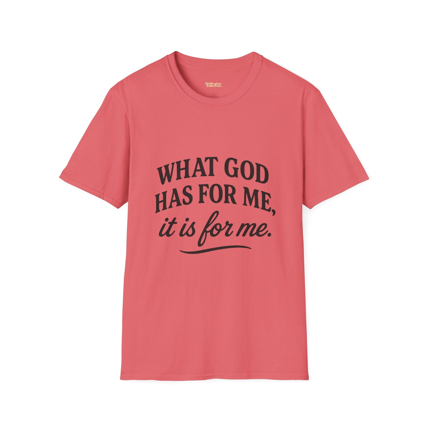What God Has For Me Unisex T-Shirt