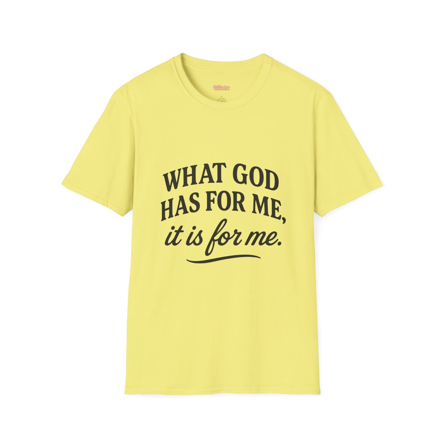 What God Has For Me Unisex T-Shirt
