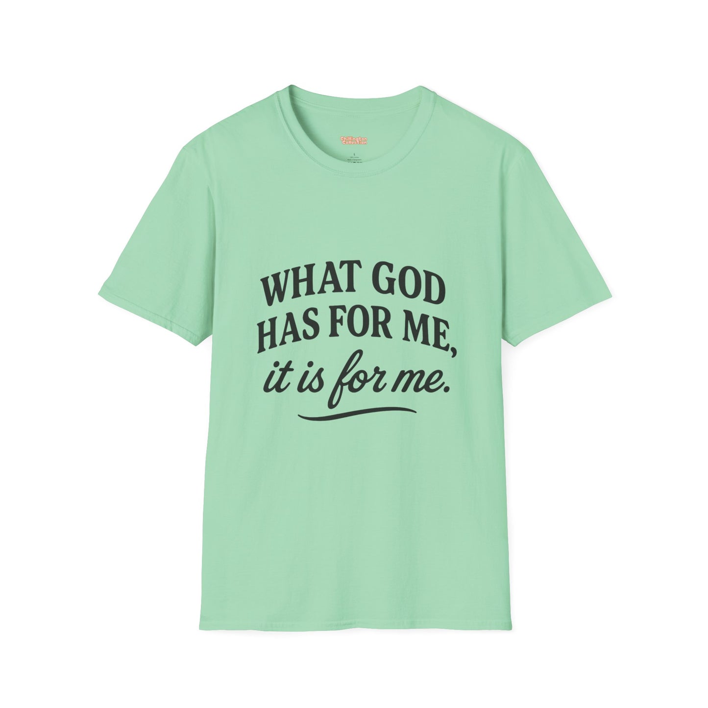 What God Has For Me Unisex T-Shirt