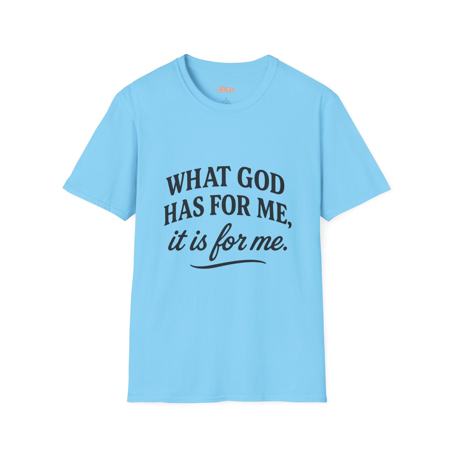 What God Has For Me Unisex T-Shirt