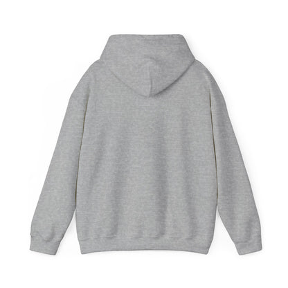 Hoodies Favorite Hoodie Unisex Hoodie