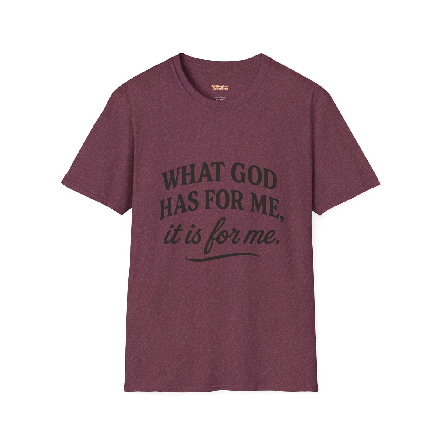 What God Has For Me Unisex T-Shirt