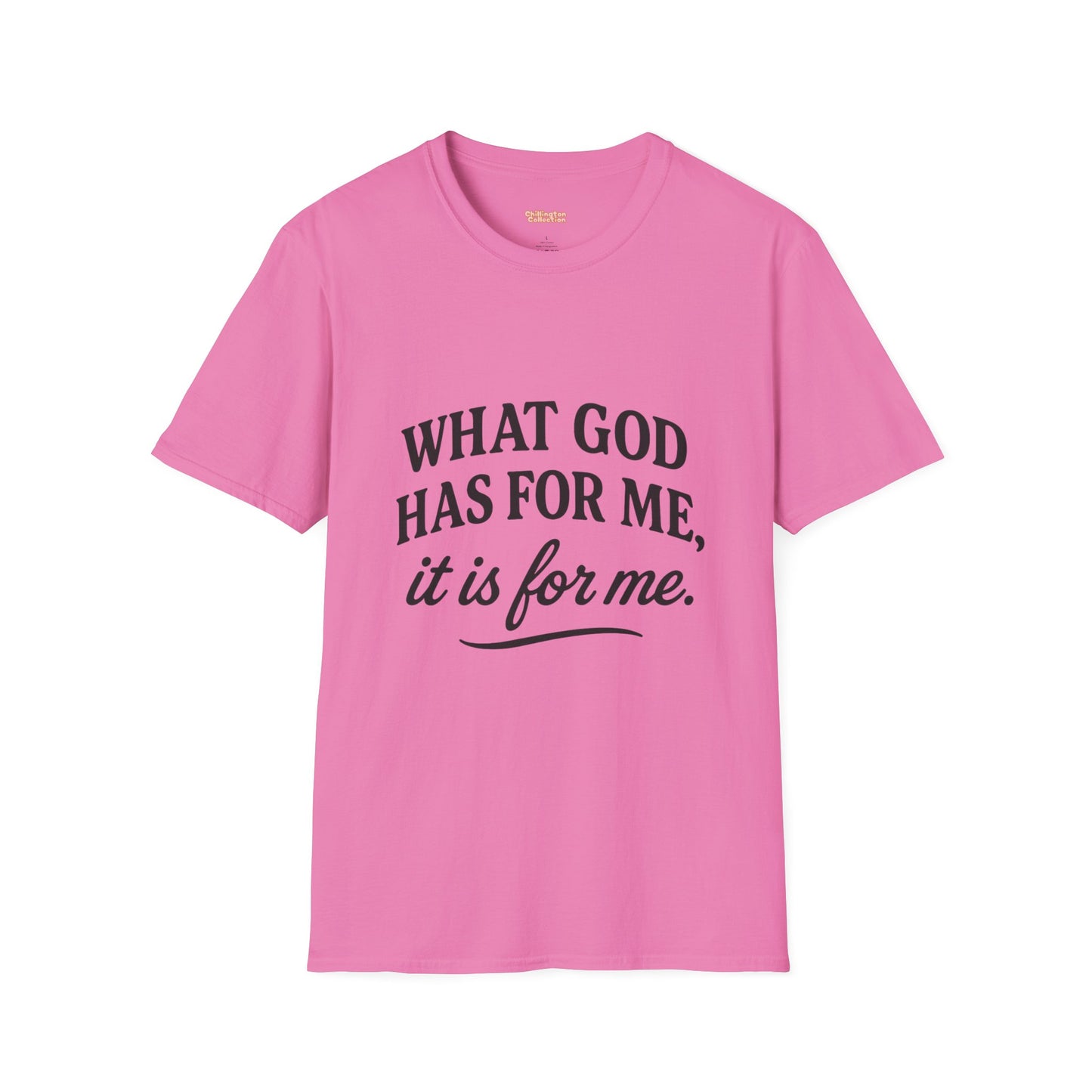 What God Has For Me Unisex T-Shirt