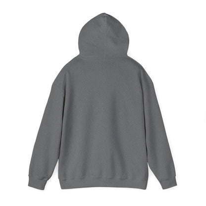Hoodies Favorite Hoodie Unisex Hoodie
