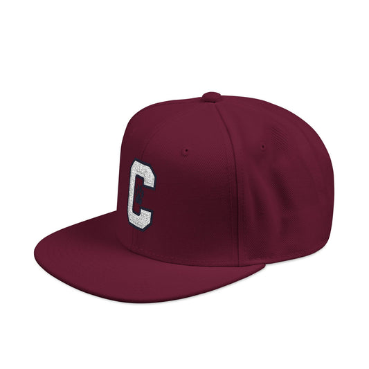 Paw Print Snapback Cap