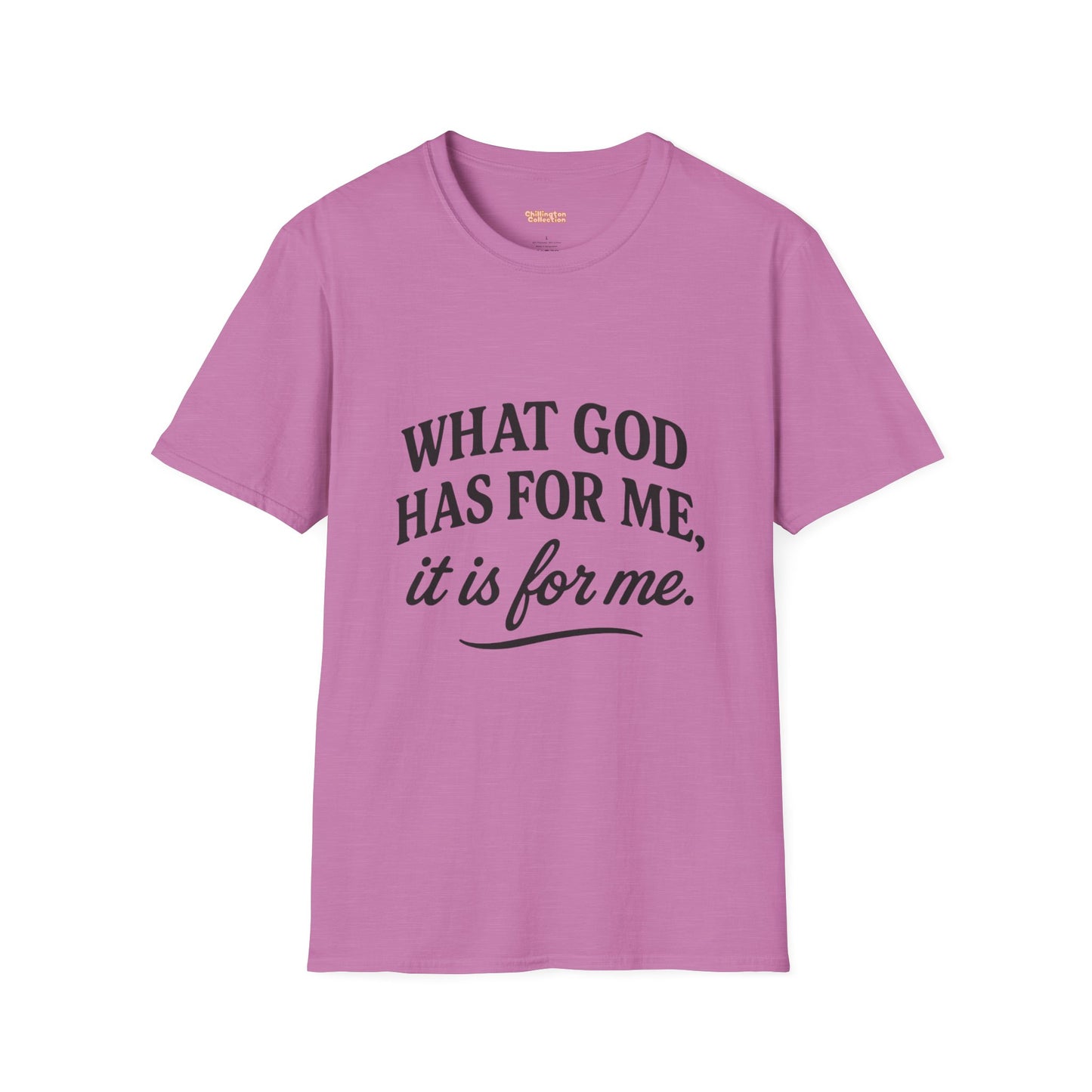 What God Has For Me Unisex T-Shirt